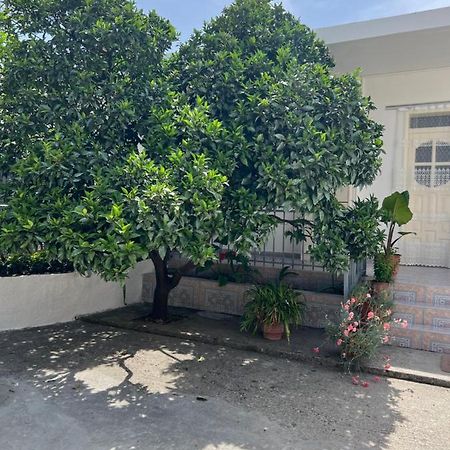 Rooms For Rent Habipi Vlorë Εξωτερικό φωτογραφία