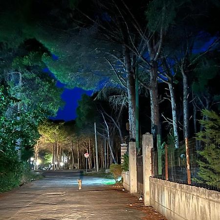 Rooms For Rent Habipi Vlorë Εξωτερικό φωτογραφία
