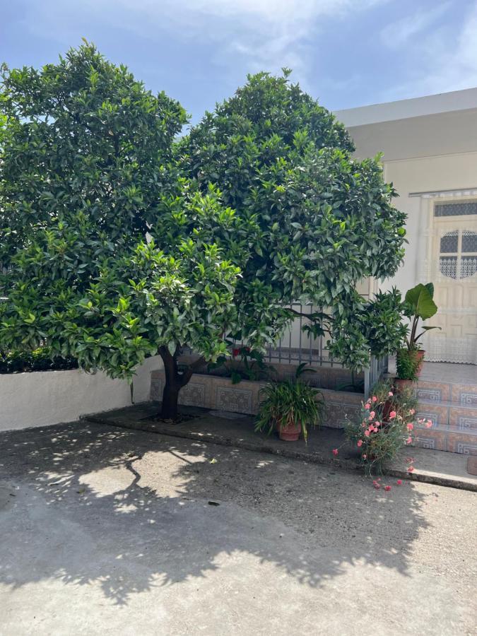 Rooms For Rent Habipi Vlorë Εξωτερικό φωτογραφία