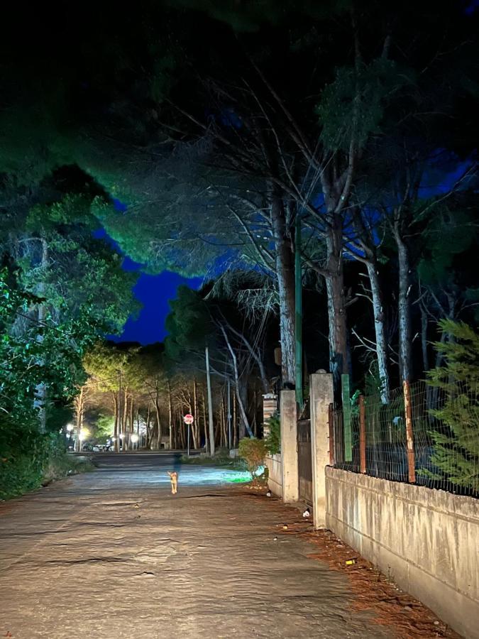 Rooms For Rent Habipi Vlorë Εξωτερικό φωτογραφία