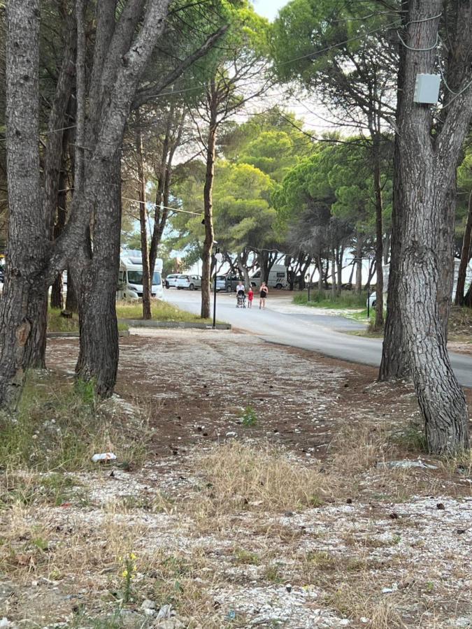 Rooms For Rent Habipi Vlorë Εξωτερικό φωτογραφία